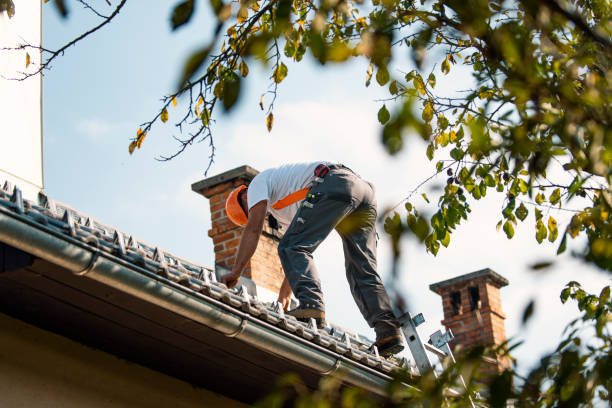 Best Roof Gutter Cleaning  in Batavia, NY